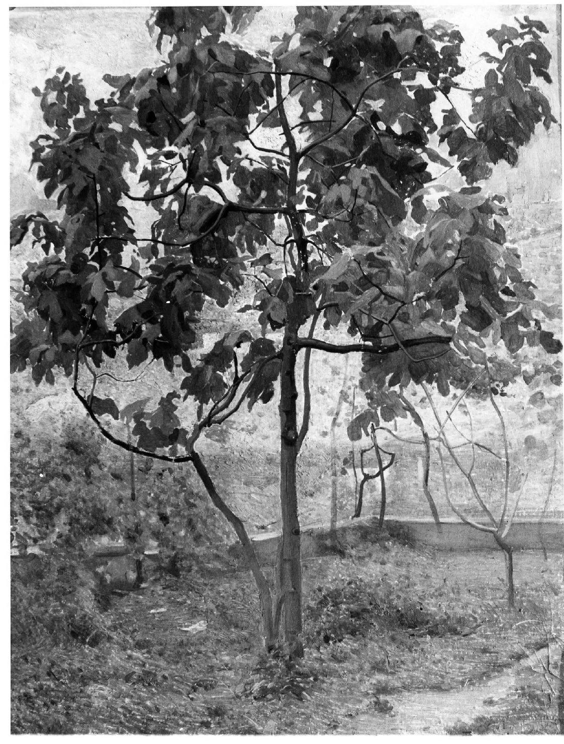 Albero - Galleria d'Arte Moderna Achille Forti, Verona
